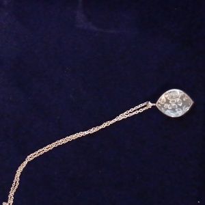 Herkimer diamond shaker pendant with 32 in chain